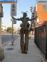 treeman1 Main Street & Marine 5-25-15 - Copy (2).JPG